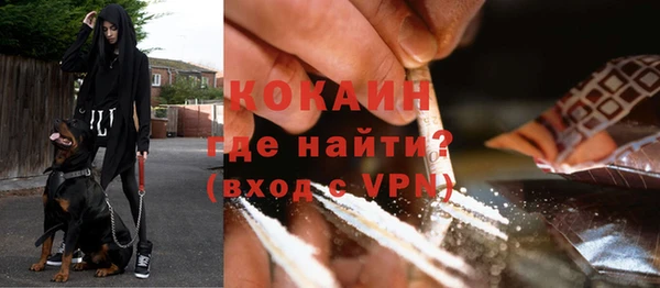 ешки Аркадак