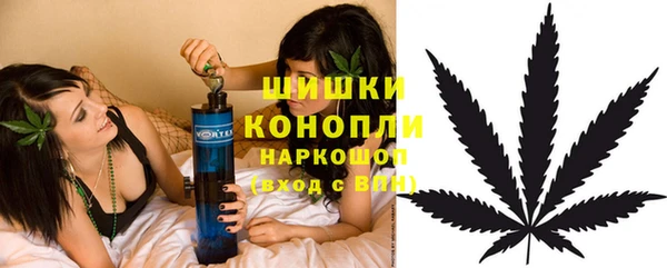 ешки Аркадак