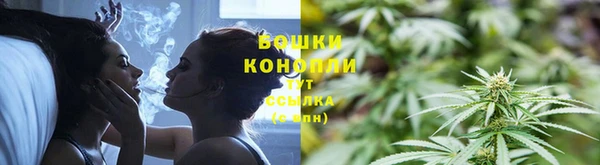 ешки Аркадак