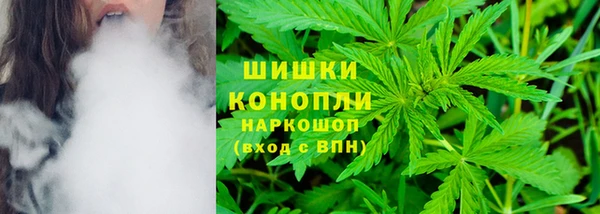 дурь Арсеньев