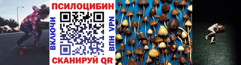 Псилоцибиновые грибы ЛСД  МЕГА рабочий сайт  даркнет телеграм  Козьмодемьянск 